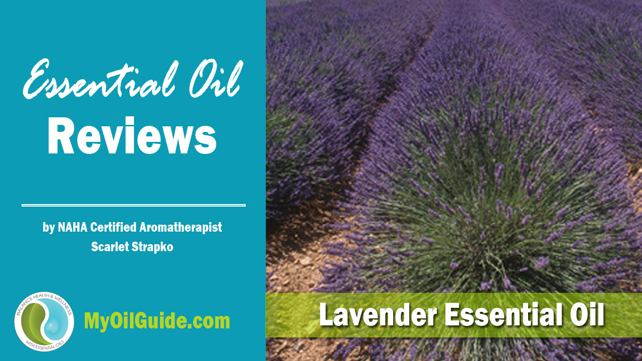 Lavender Essential Oil Review