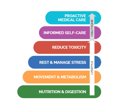 wellness pyramid - journey to lifelong health