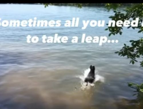 Looking for Change? Take a leap…
