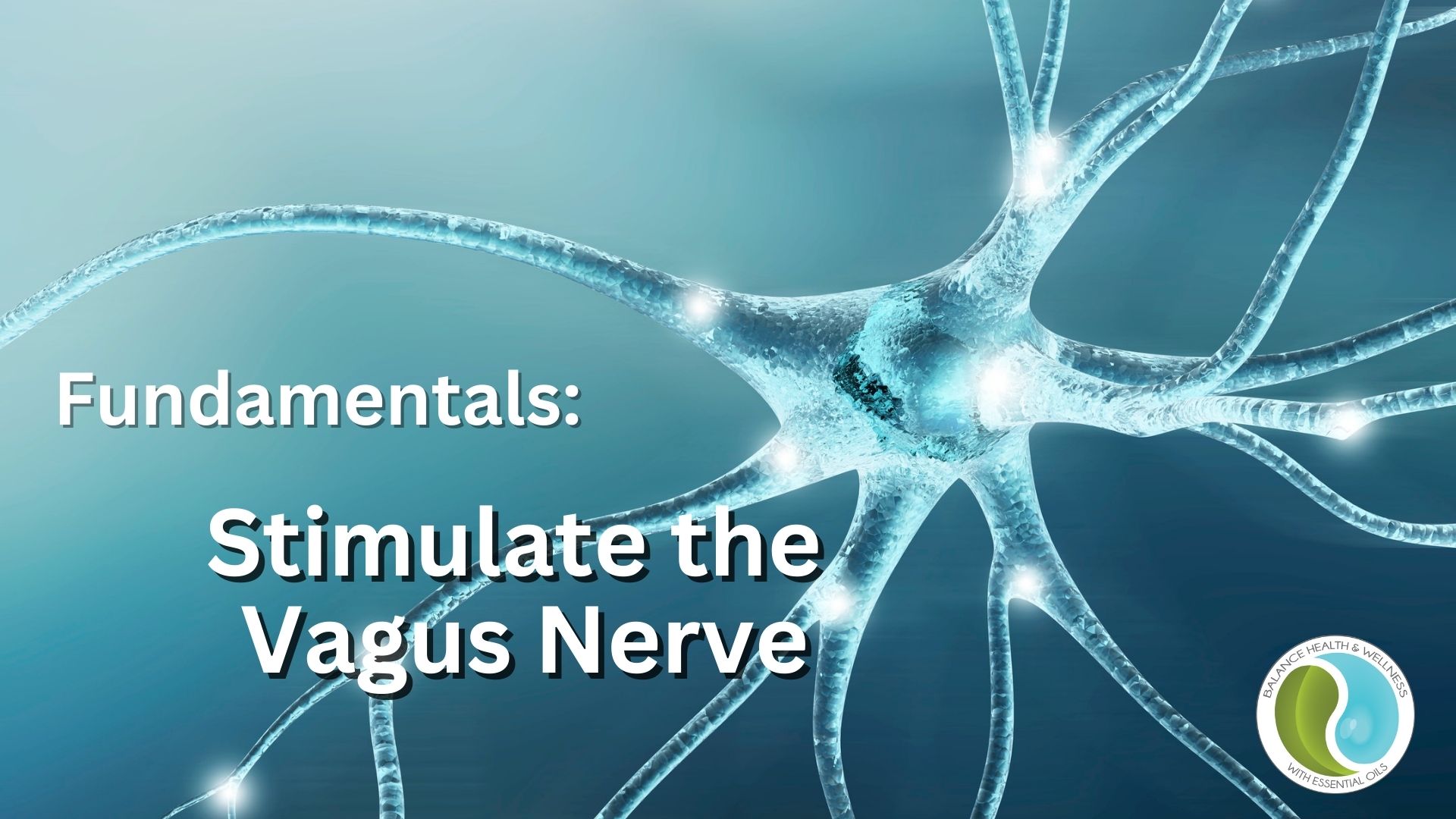 Supporting the Vagus Nerve
